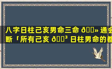 八字日柱己亥男命三命 🌻 通会断「所有己亥 🌳 日柱男命的都短命吗」